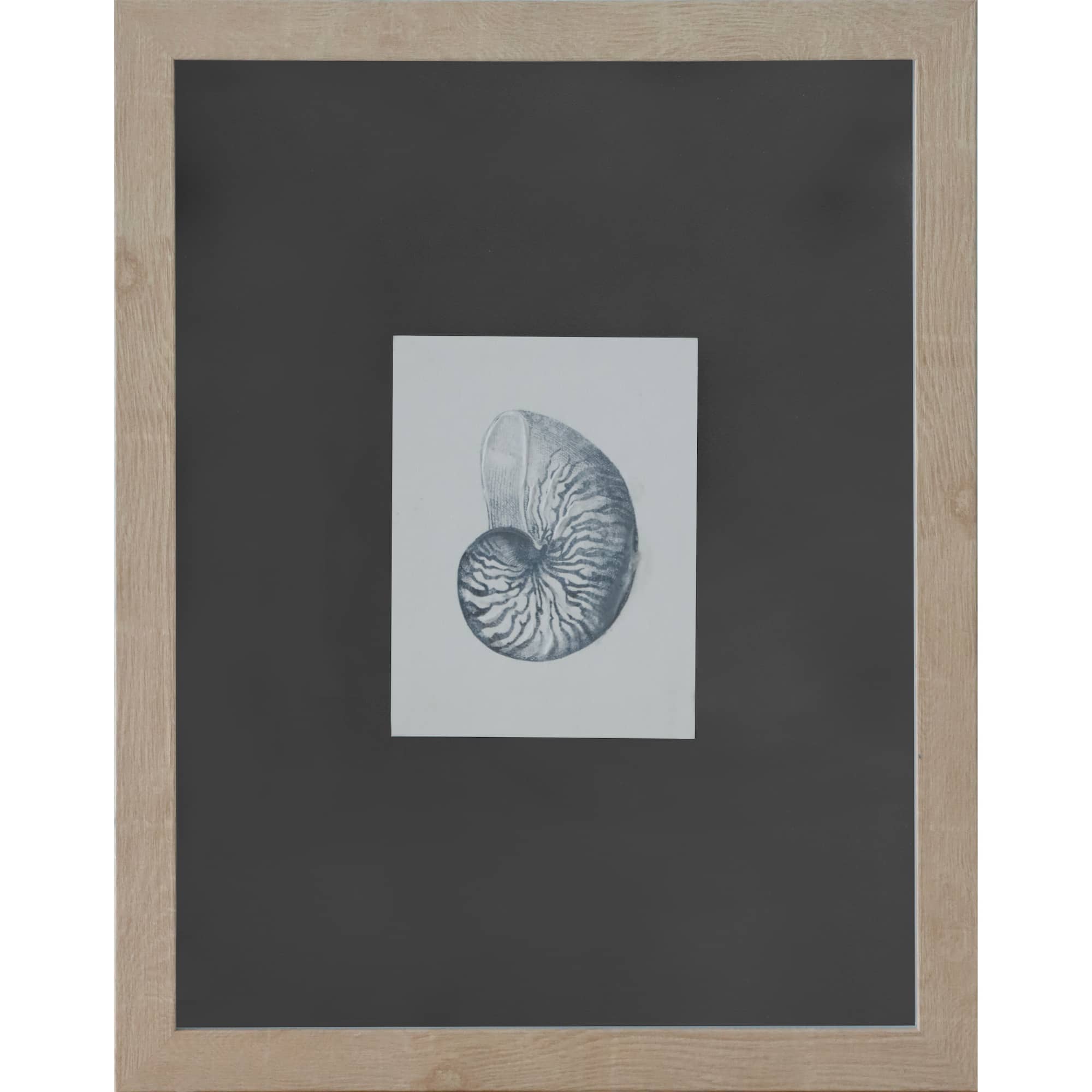 11" x 14" Blue Striped Shell Art Wall Décor by Ashland®